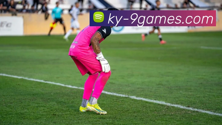 九游会官网平台生态图