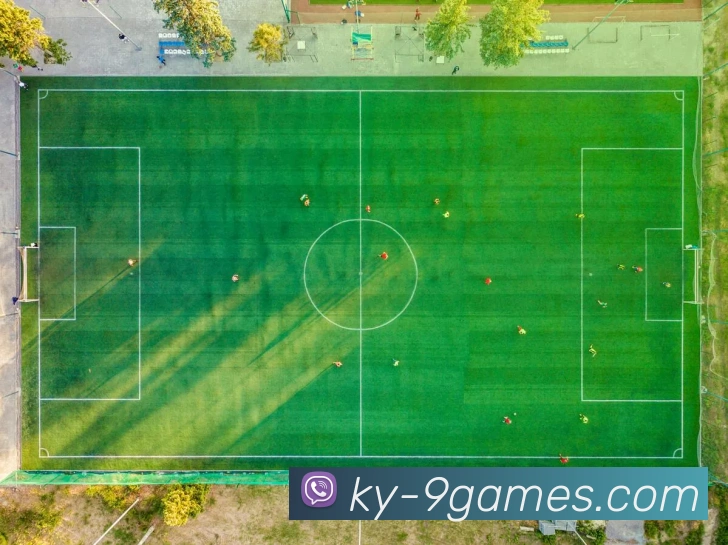 九游会官网APP 封面图